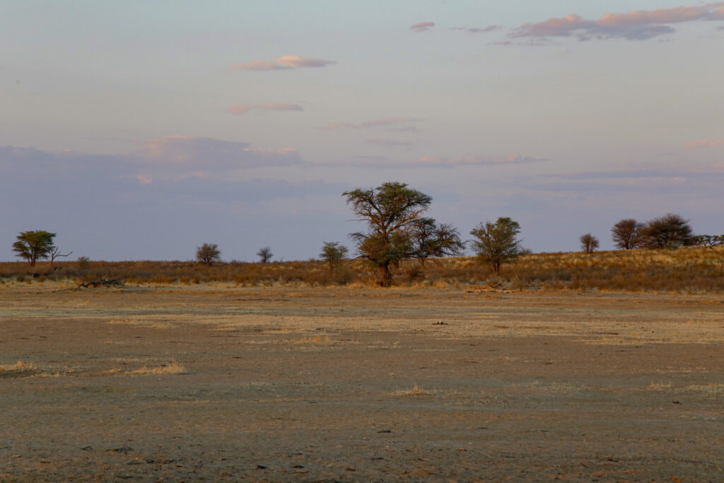 Gizemli Kalahari